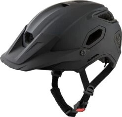Alpina Comox - Casco MTB Cascos MTB | Bike-Discount