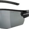 Alpina Tri-Scray 2.0 HR - Gafas Deportivas Gafas | Bike-Discount