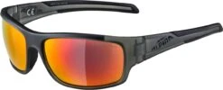 Alpina Testido - Gafas Deportivas Gafas | Bike-Discount