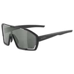 Alpina Gafas De Sol Bonfire Q-Lite