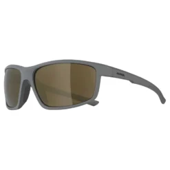 Alpina Gafas De Sol Defey