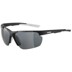 Alpina Gafas De Sol Defey HR