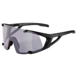Alpina Gafas De Sol Hawkeye Q-Lite V