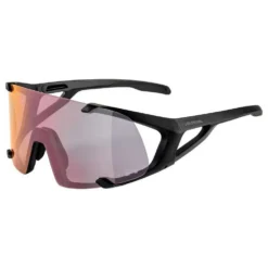 Alpina Gafas De Sol Hawkeye QV