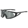 Alpina Gafas De Sol Hawkeye S