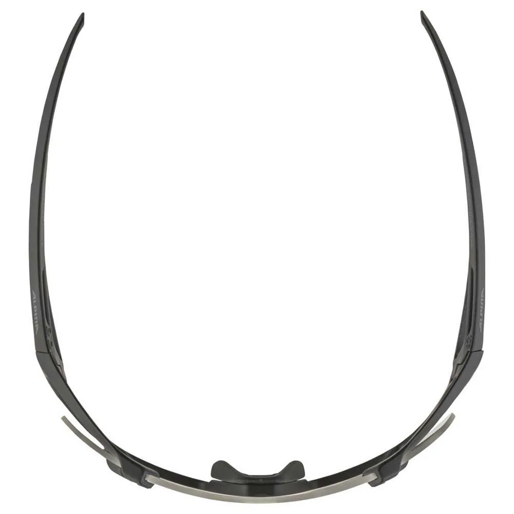 Alpina Gafas De Sol Hawkeye S - Image 5