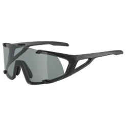 Alpina Gafas De Sol Hawkeye S