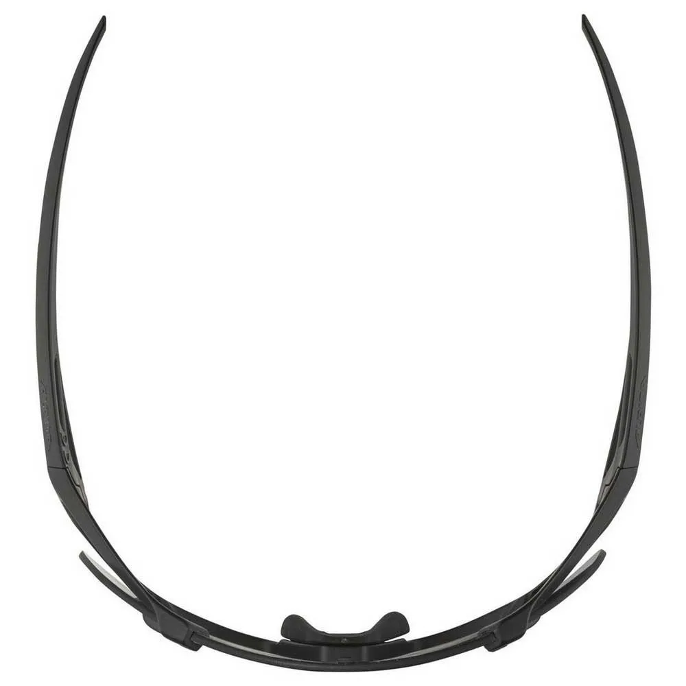 Alpina Gafas De Sol Hawkeye S - Image 5