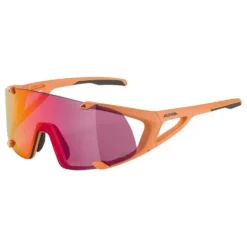 Alpina Gafas De Sol Hawkeye S Q-Lite