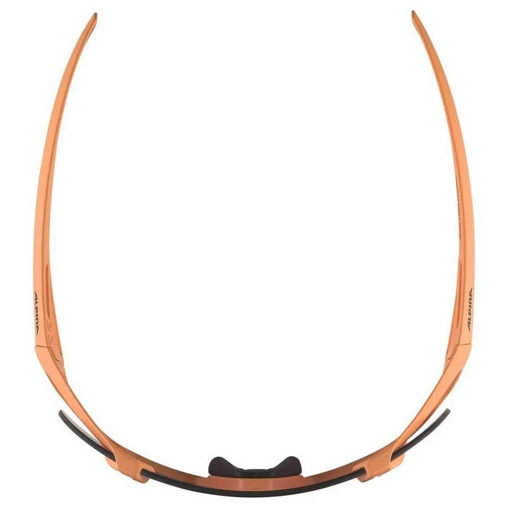 Alpina Gafas De Sol Hawkeye S Q-Lite - Image 4