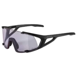 Alpina Gafas De Sol Hawkeye S Q-Lite V