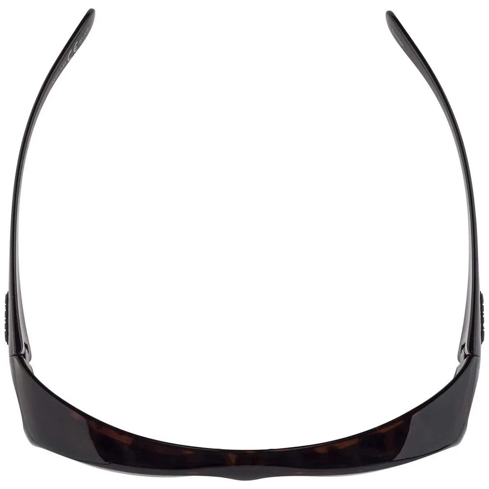 Alpina Gafas De Sol Overview - Image 6