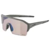 Alpina Gafas De Sol Ram HR Q-Lite V