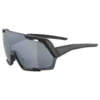 Alpina Gafas De Sol Rocket Bold