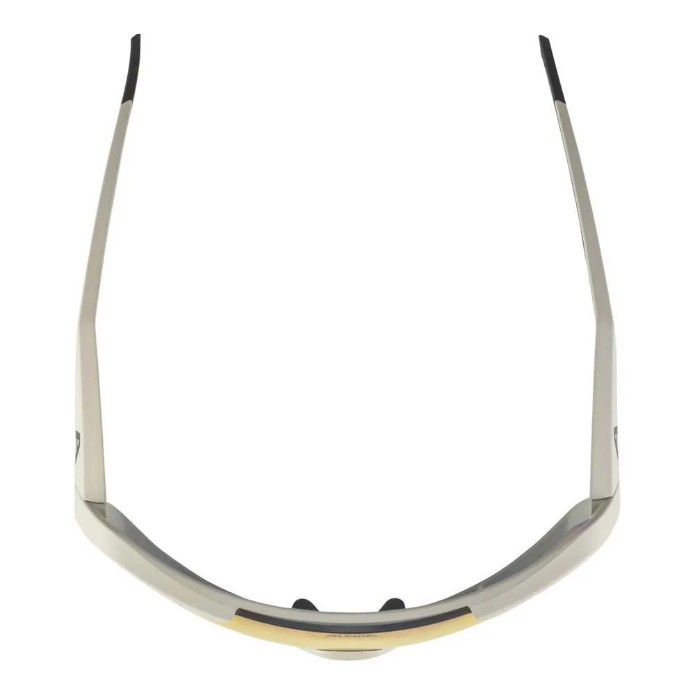 Alpina Gafas De Sol Rocket QV - Image 4