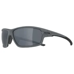 Alpina Gafas De Sol Tri-Scray 2.0