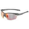 Alpina Gafas De Sol Twist Five HR QV